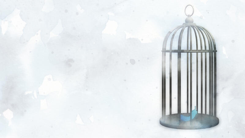 Caged Bird